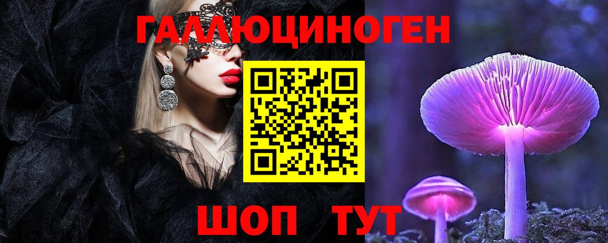 Галлюциногенные грибы Psilocybe  Томск 